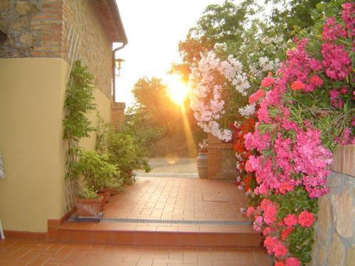 Agriturismo Colombaiolo Pienza Dış mekan fotoğraf