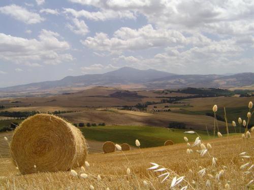 Agriturismo Colombaiolo Pienza Dış mekan fotoğraf