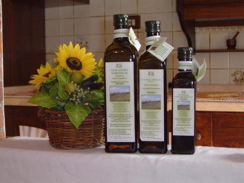 Agriturismo Colombaiolo Pienza Dış mekan fotoğraf