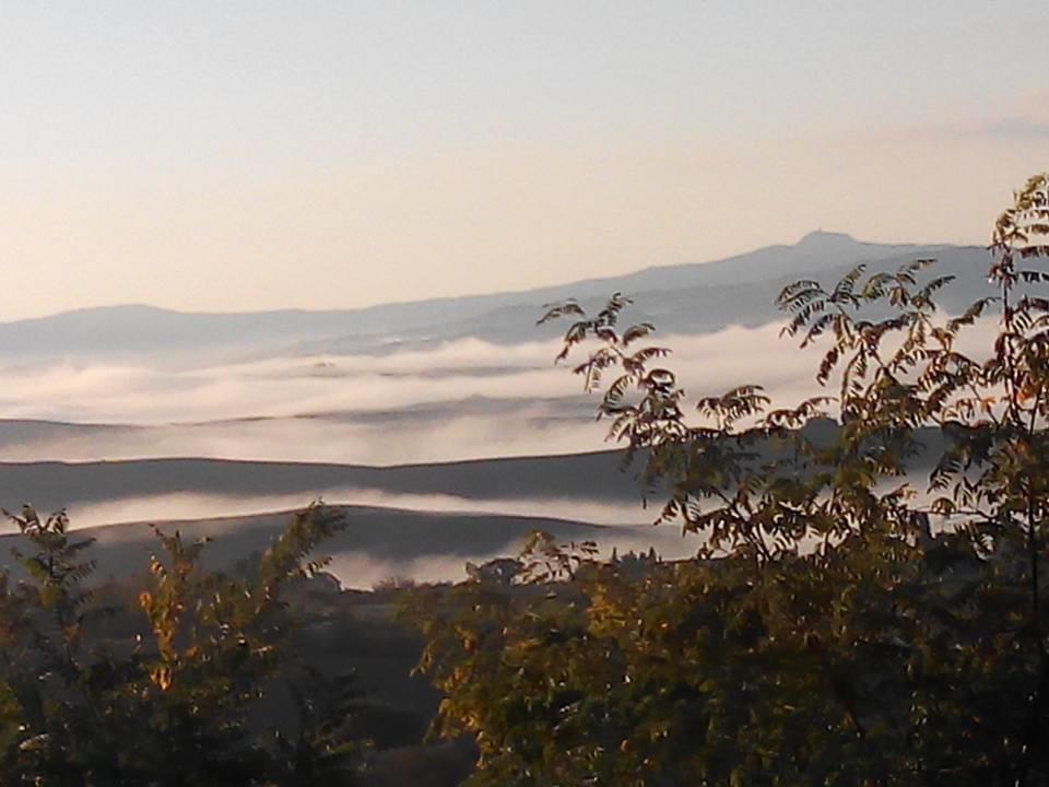Agriturismo Colombaiolo Pienza Dış mekan fotoğraf