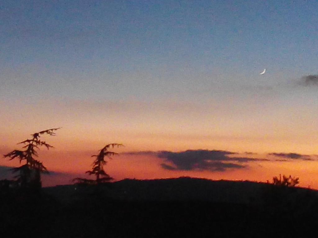 Agriturismo Colombaiolo Pienza Dış mekan fotoğraf